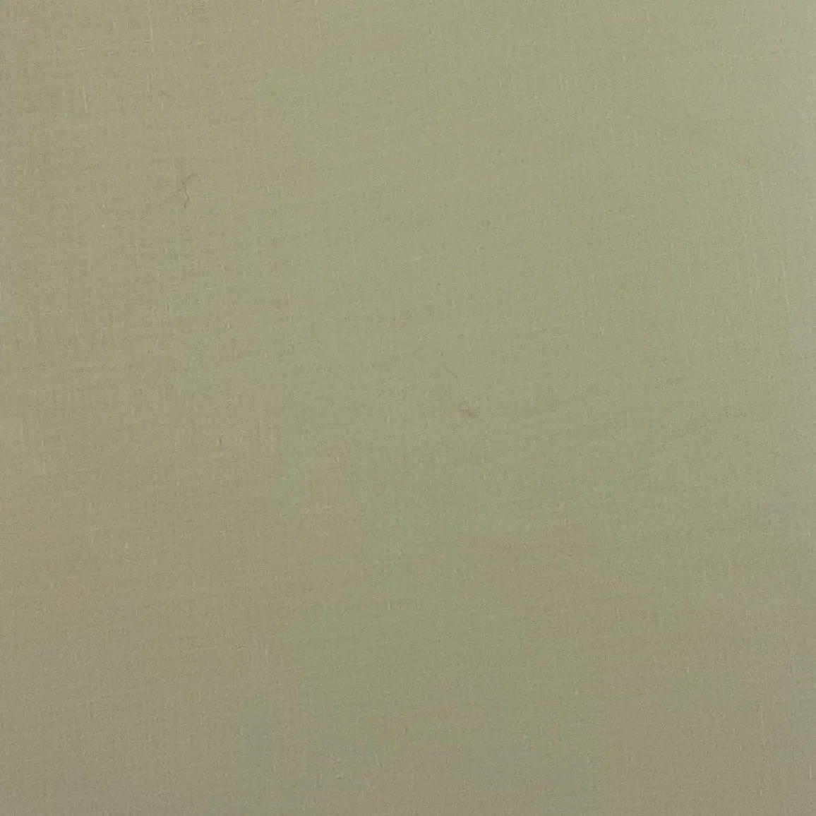 Ivory | Stiff Cotton Sheeting | SKU 6660 #S207