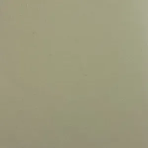 Ivory | Stiff Cotton Sheeting | SKU 6660 #S207
